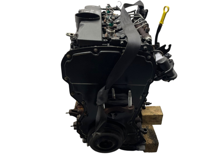 SRFA (1).png