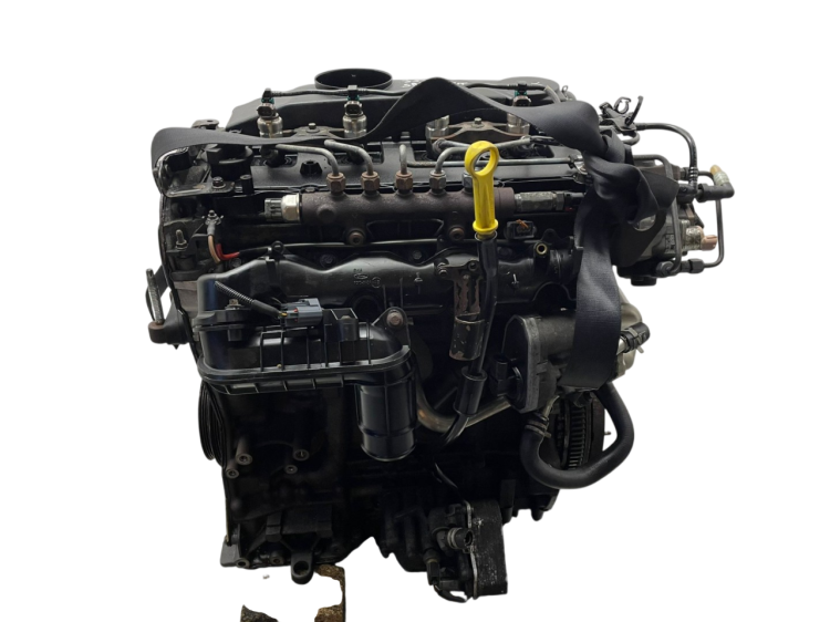 SRFA (2).png