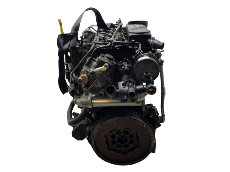 SRFA (4).png