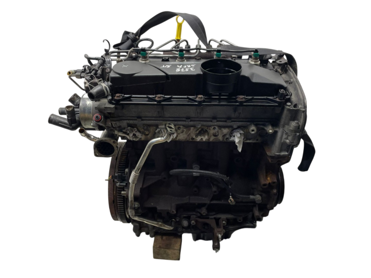 SRFA (5).png