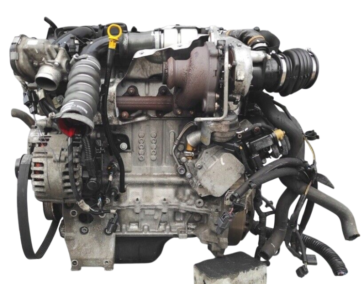 t1db (1).png