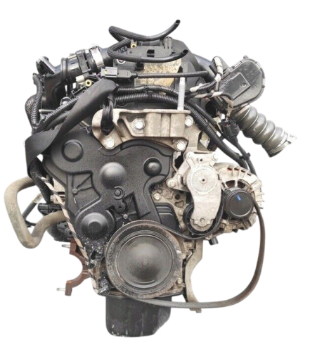 t1db (2).png