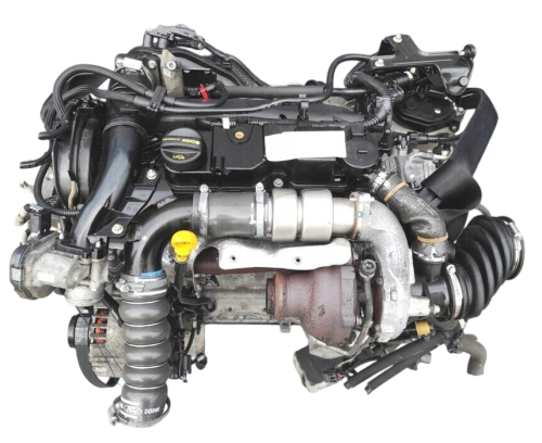 t1db (4).png