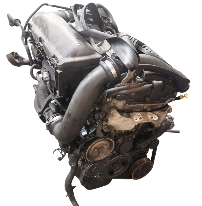 ds3_1.6thp (4).png