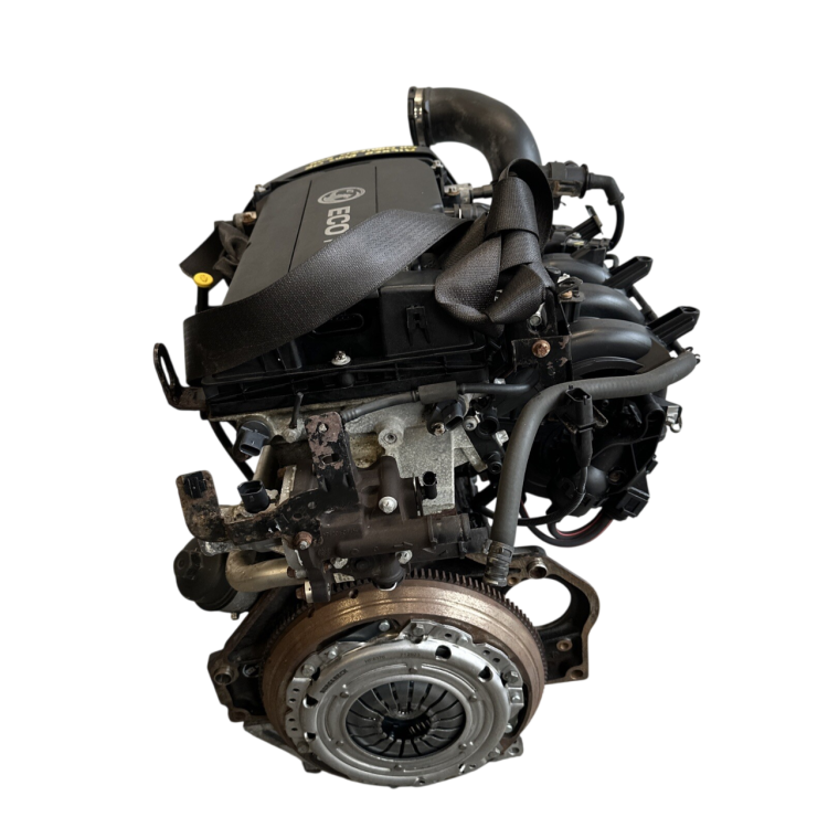 a16xer (1).png