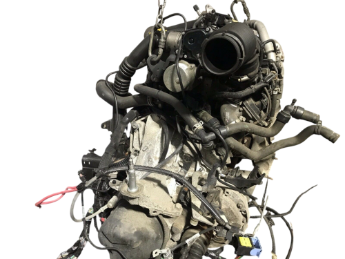 k9k608 (2).png