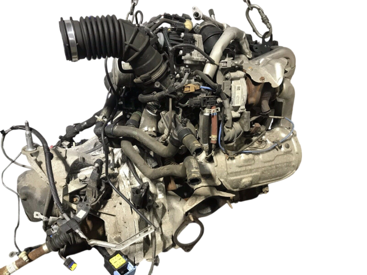 k9k608 (3).png