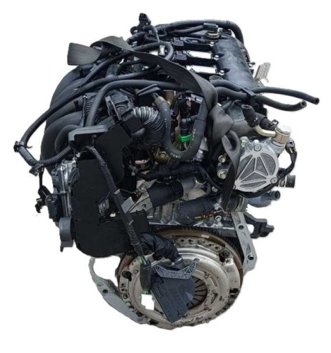 p5 2.jpg
