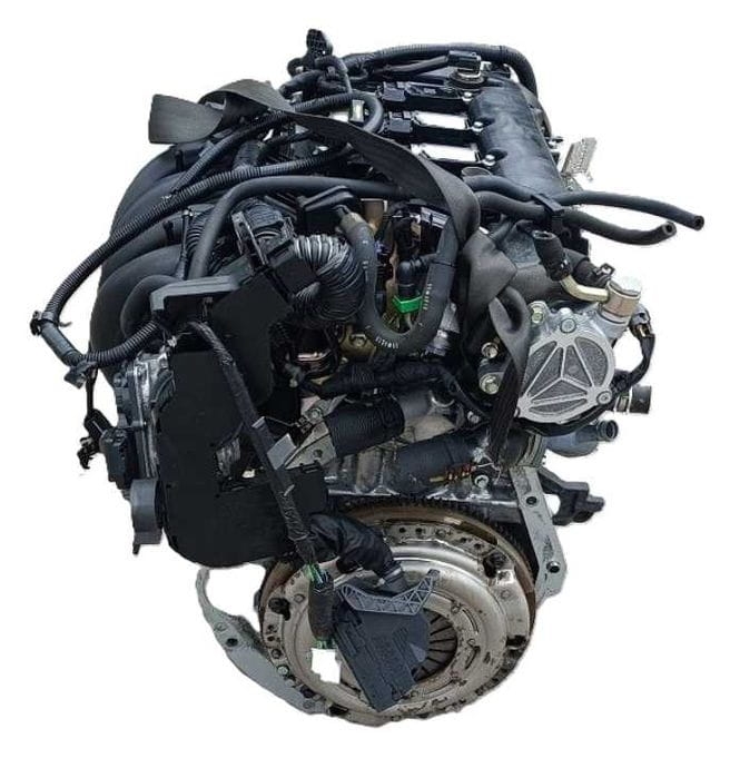 p5 2.jpg