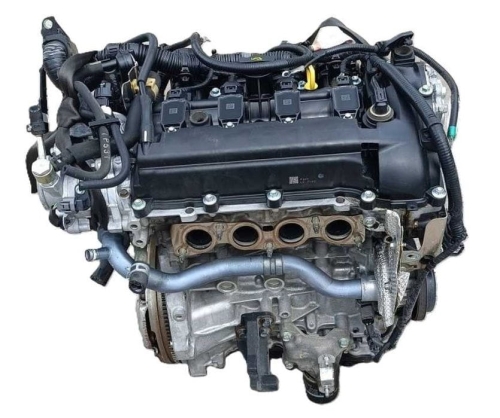 p5 1.jpg