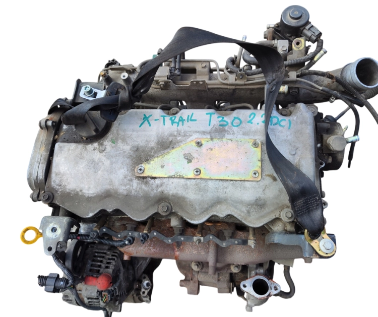 yd22 (2).png