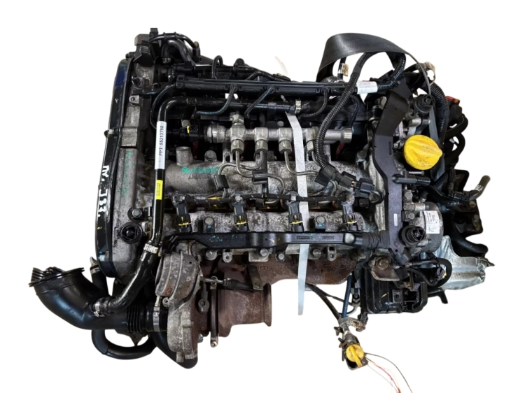 lj5 (3).png