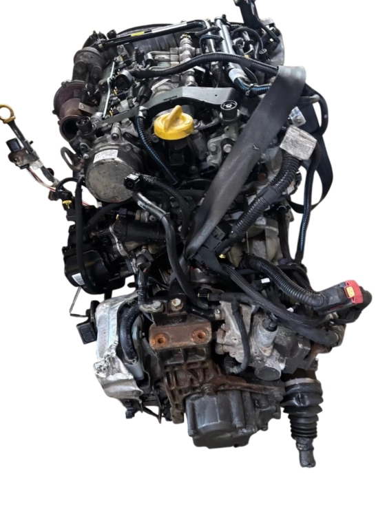 lj5 (4).png