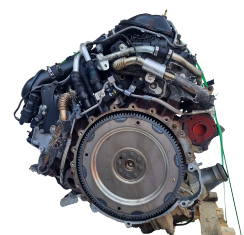 368dt (2).png