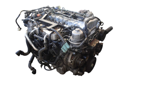Z20D1  (2).png