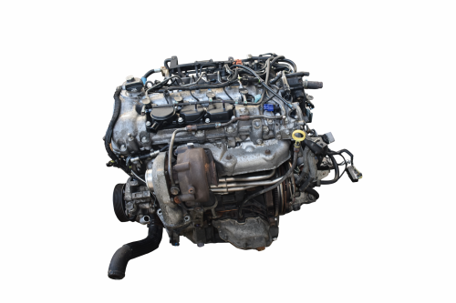 Z20D1  (1).png
