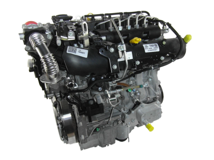b16dth (3).jpg