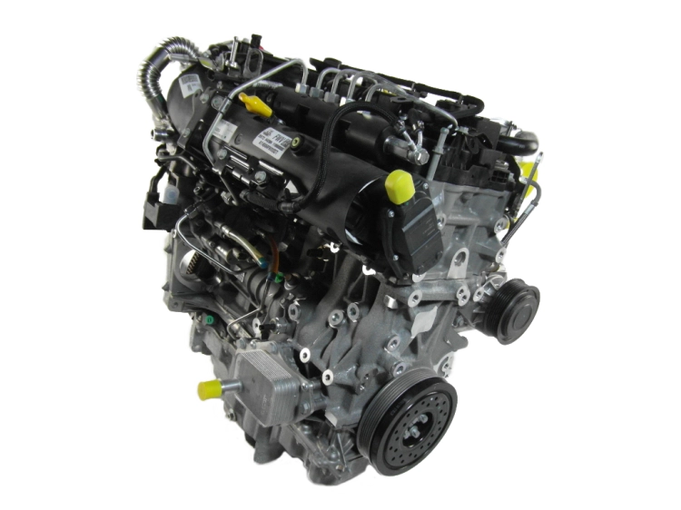 b16dth (1).jpg