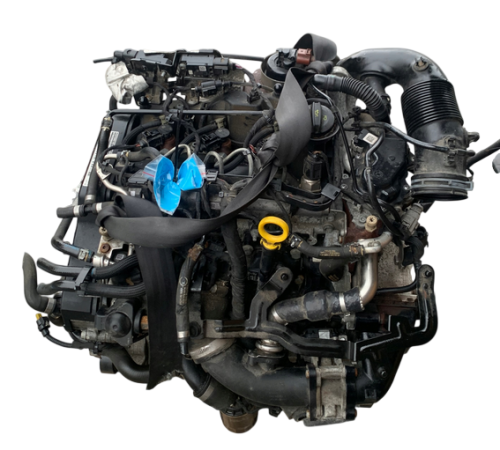 cusb (2).png