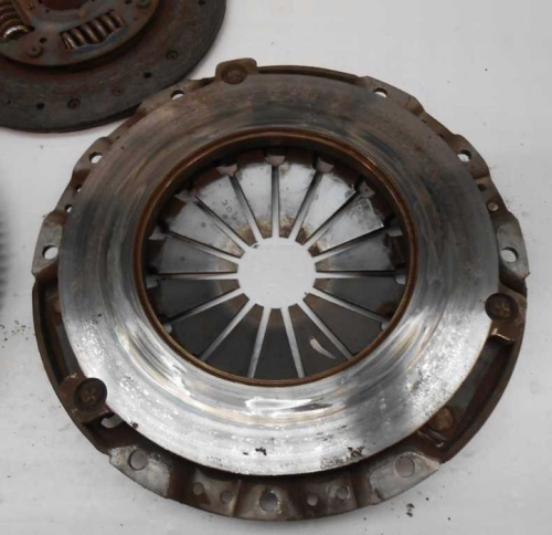 MN168250  (4).jpg