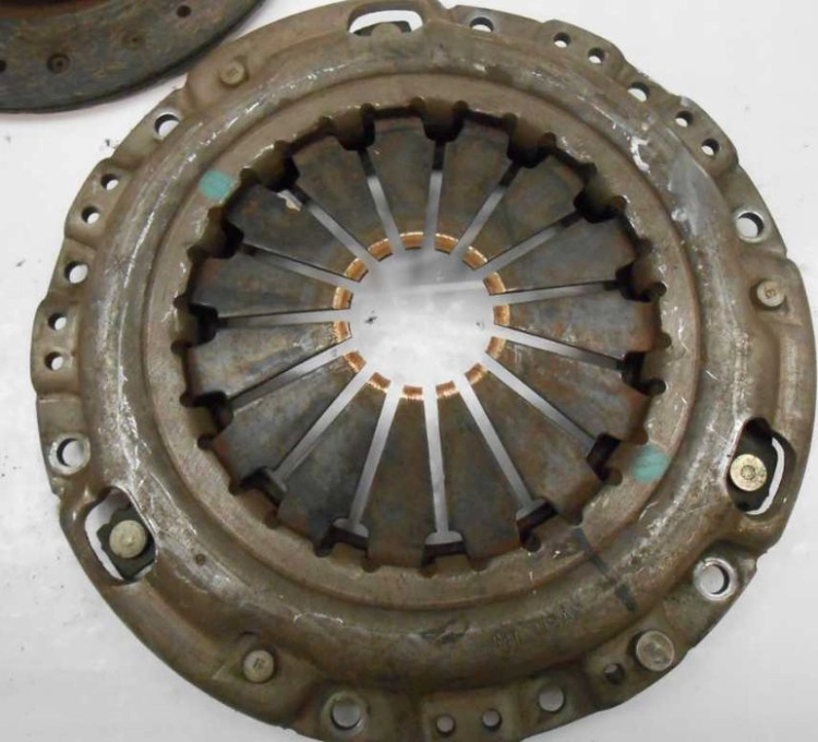 MN168250  (3).jpg