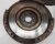 MN168250  (2).jpg