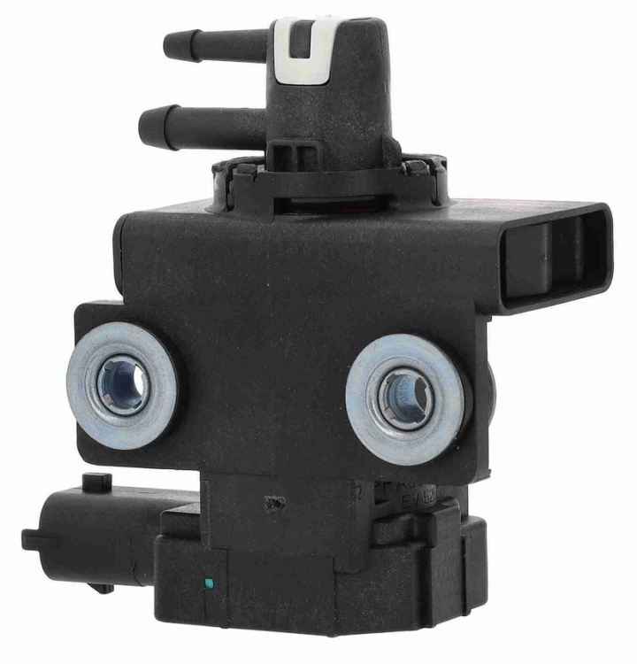 55509482  (5).png