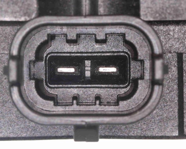 55509482  (7).png