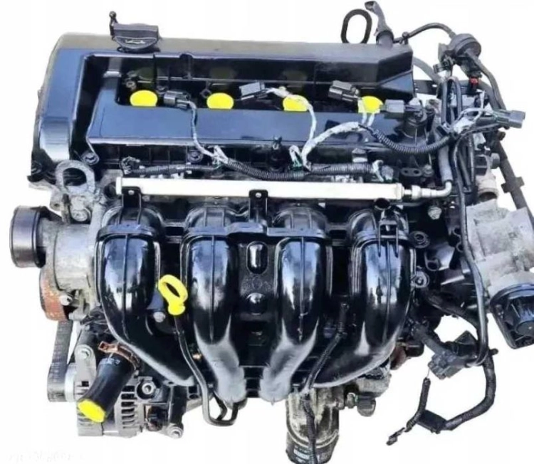 1.8 qqda (1).jpg