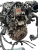 D4FB  (2).png
