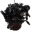 1.4 d4d auris (1).png
