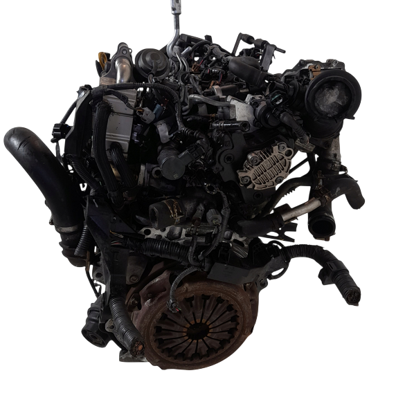 1.4 d4d auris (1).png
