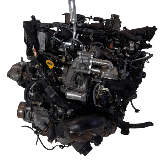 1.4 d4d auris (2).png