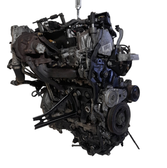1.4 d4d auris (3).png