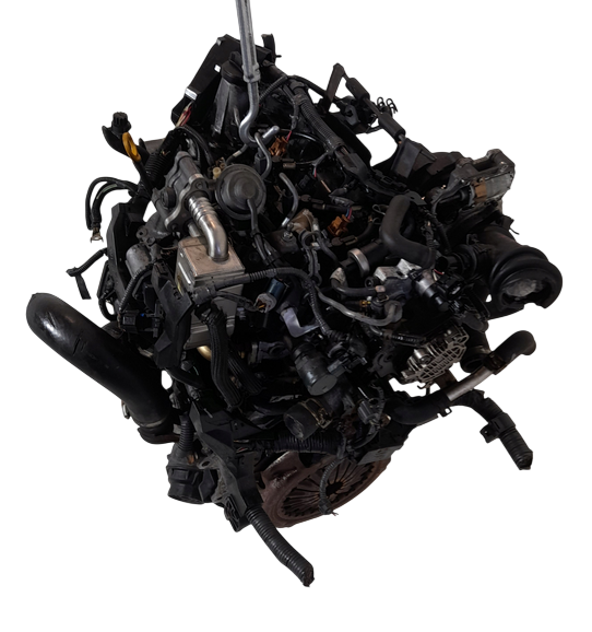 1.4 d4d auris (4).png