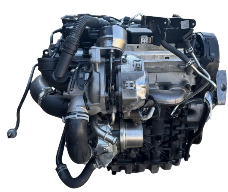 1.6 dcx (2).png