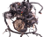 D5204T2 (2).png