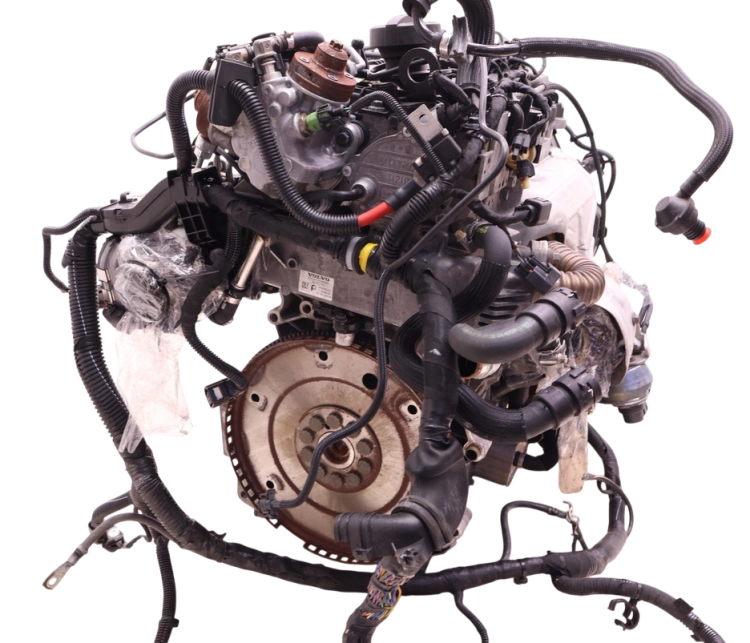 D5204T2 (2).png