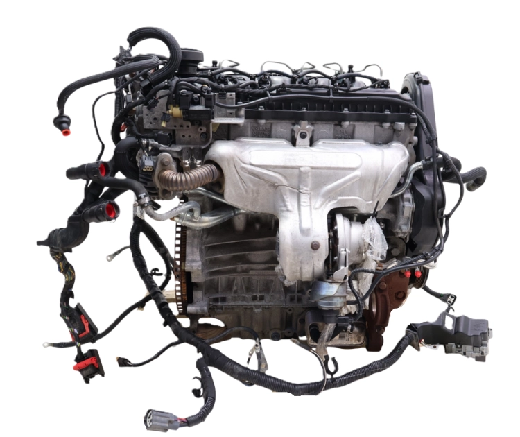 D5204T2 (4).png