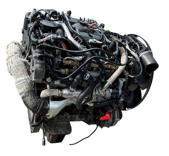 276DT (2).png
