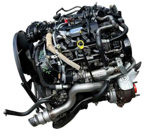 276DT (6).png