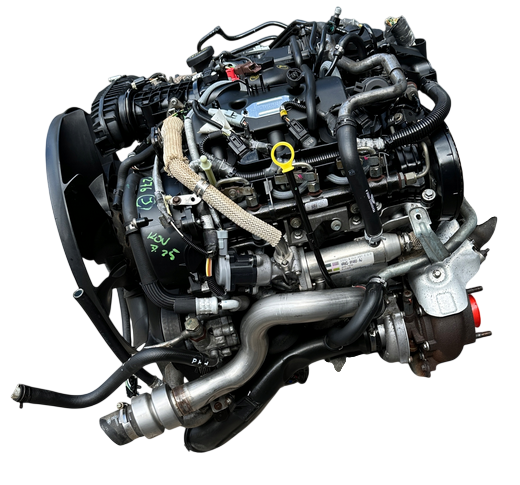 276DT (6).png