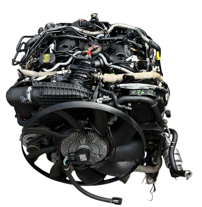 276DT (7).png