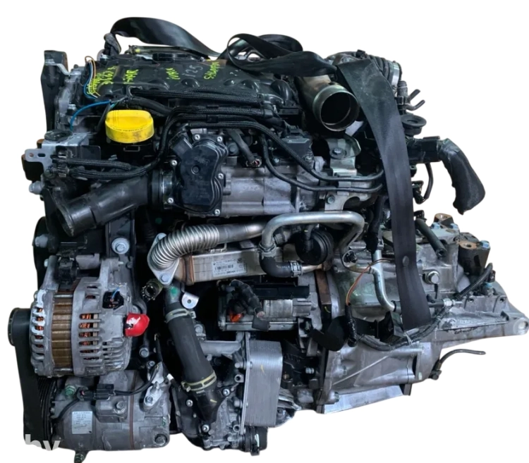 M9R832 (6).png