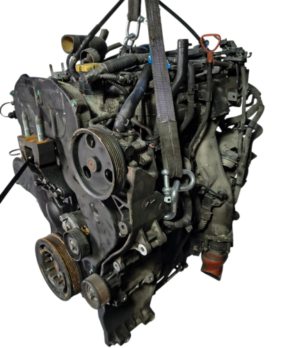 SC25R136  (2).png