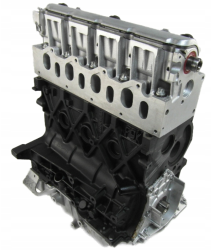 1.9 dCI F9K 3.png