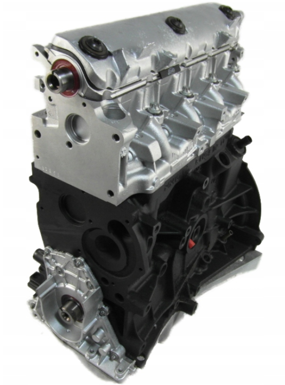 1.9 dCI F9K 5.png